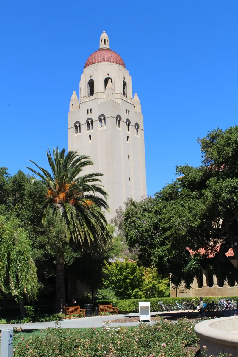 Hoover Tower rising above palm trees at Stanford University